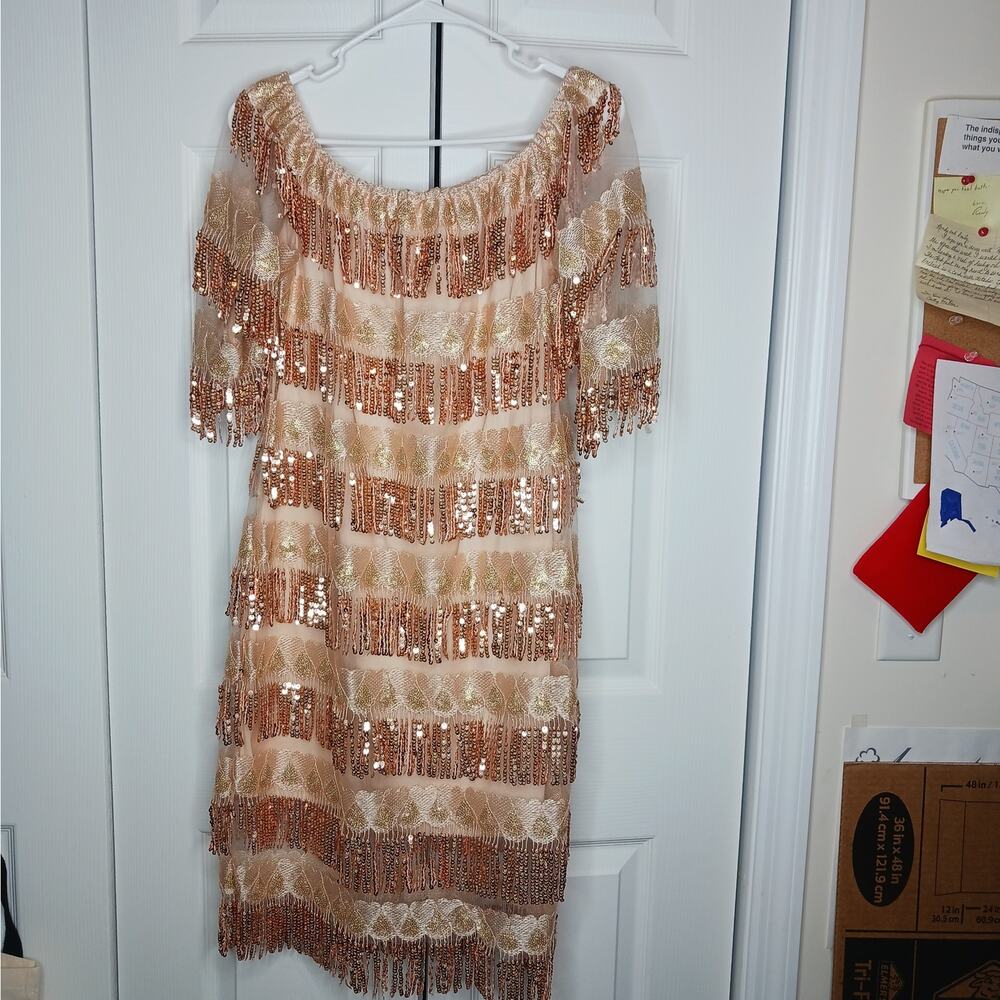 Chartou Off The Shoulder Fringed Sequin Party Style Dress NWT - Picture 3 of 11